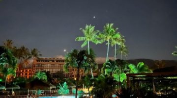 Taken by joey at the front desk , he took this picture looking from the beachside towards the pool and aloha tower