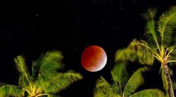 This amazing photo was taken by our concierge extraordinaire lisa cochrane of the eclipse night and the rare red moon